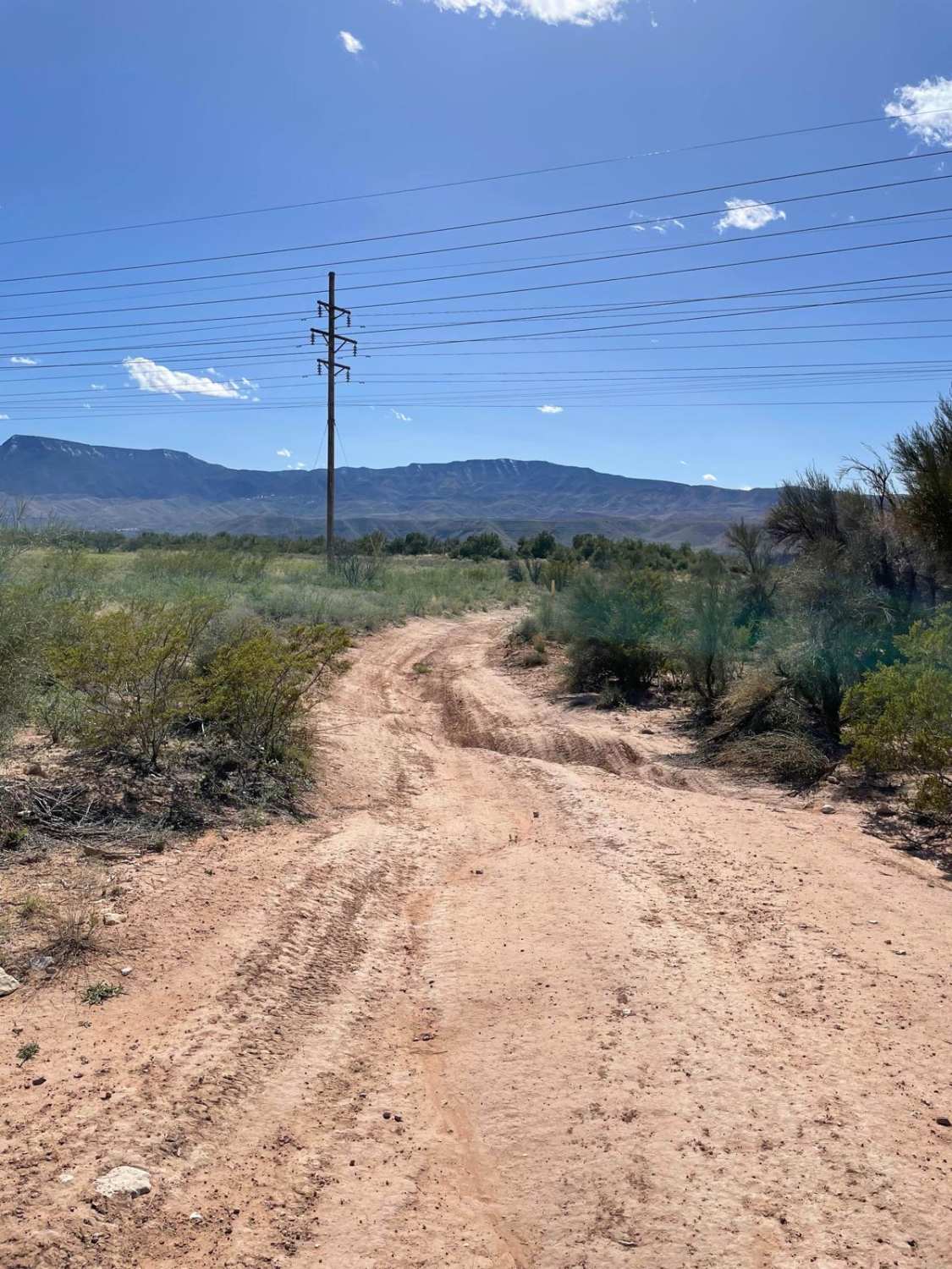 Straight Line Down 