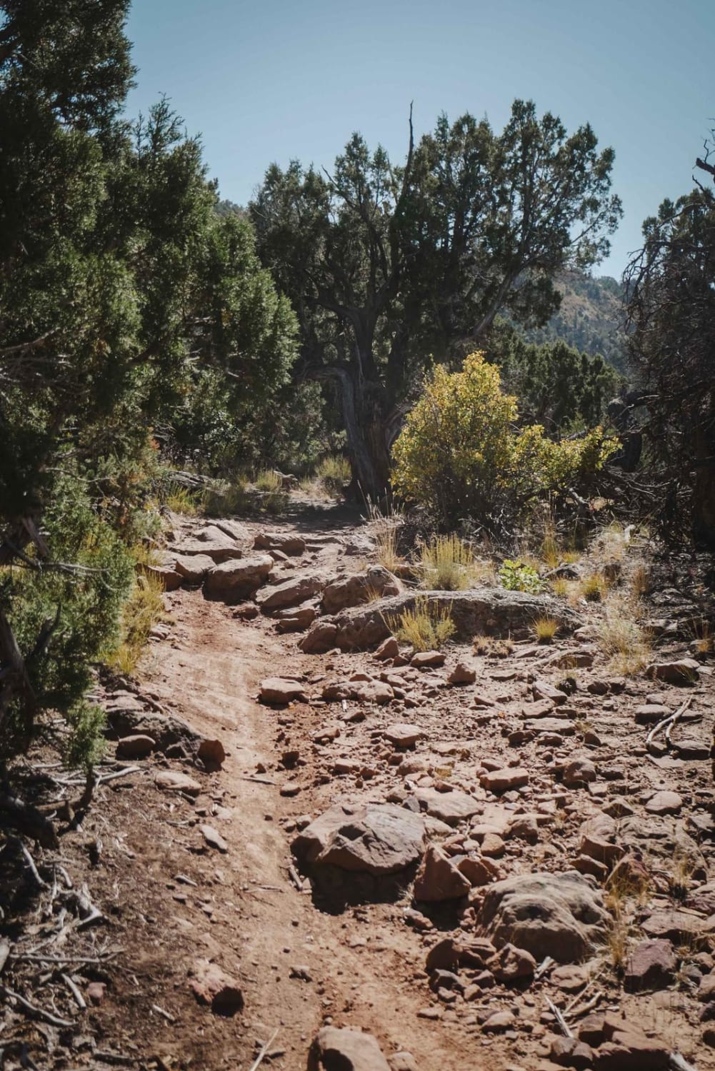 Lower Spring Creek Trail