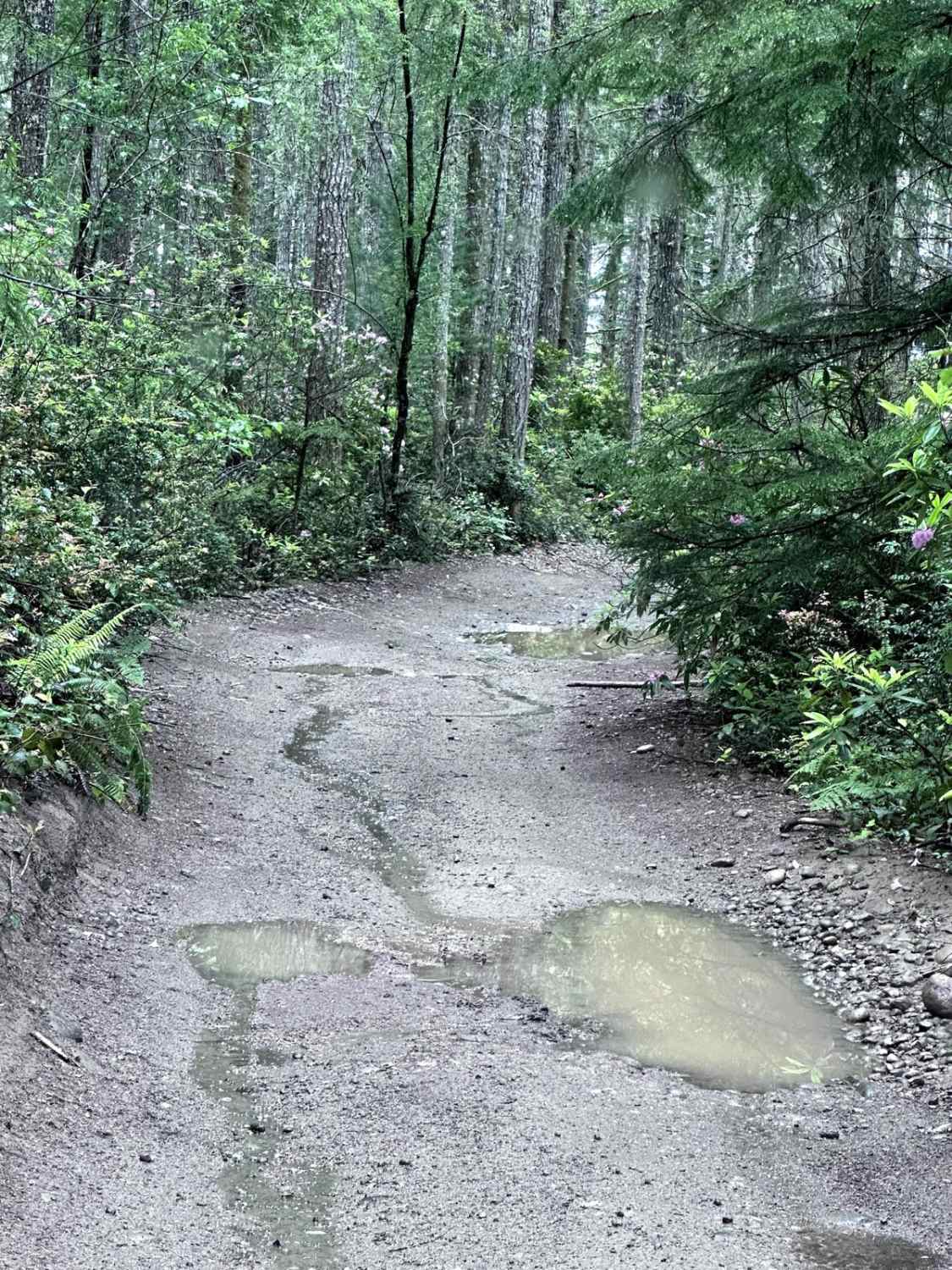 4x4 Play Area Entrance Road