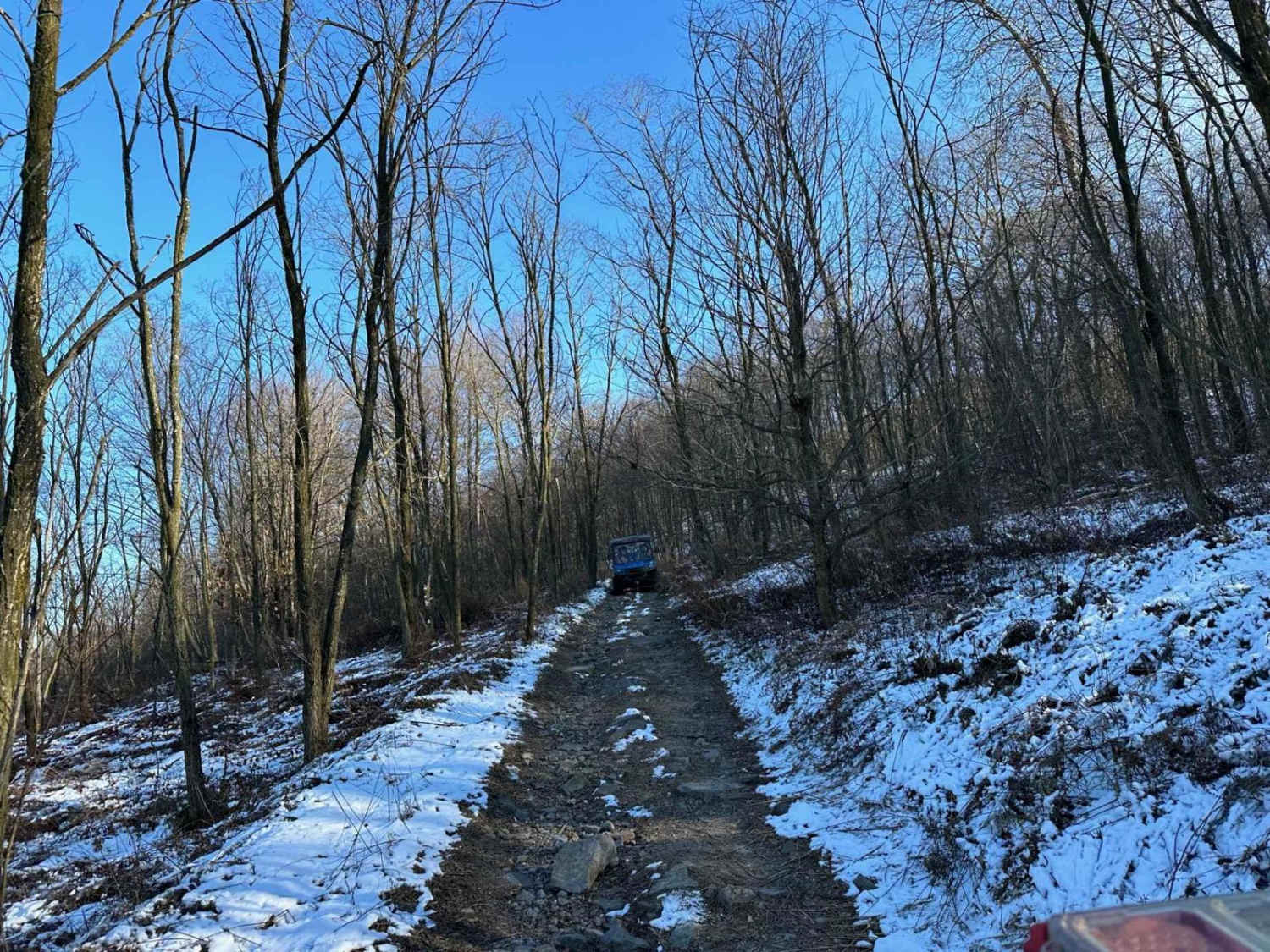 Locust Gap 7 - South