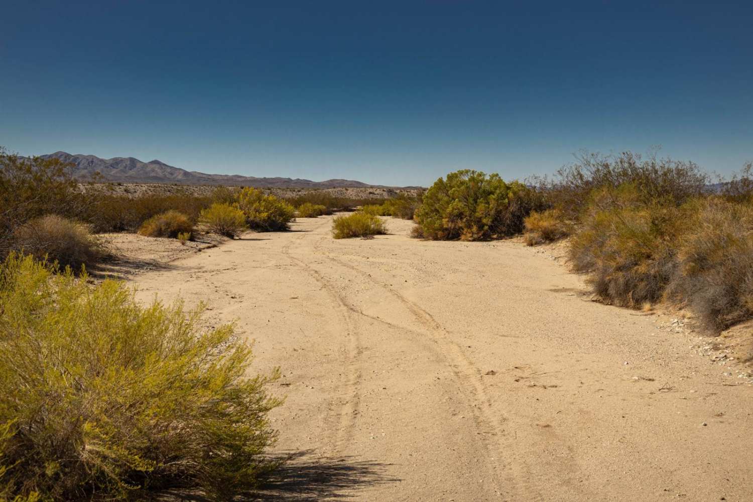 Bullard Wash South