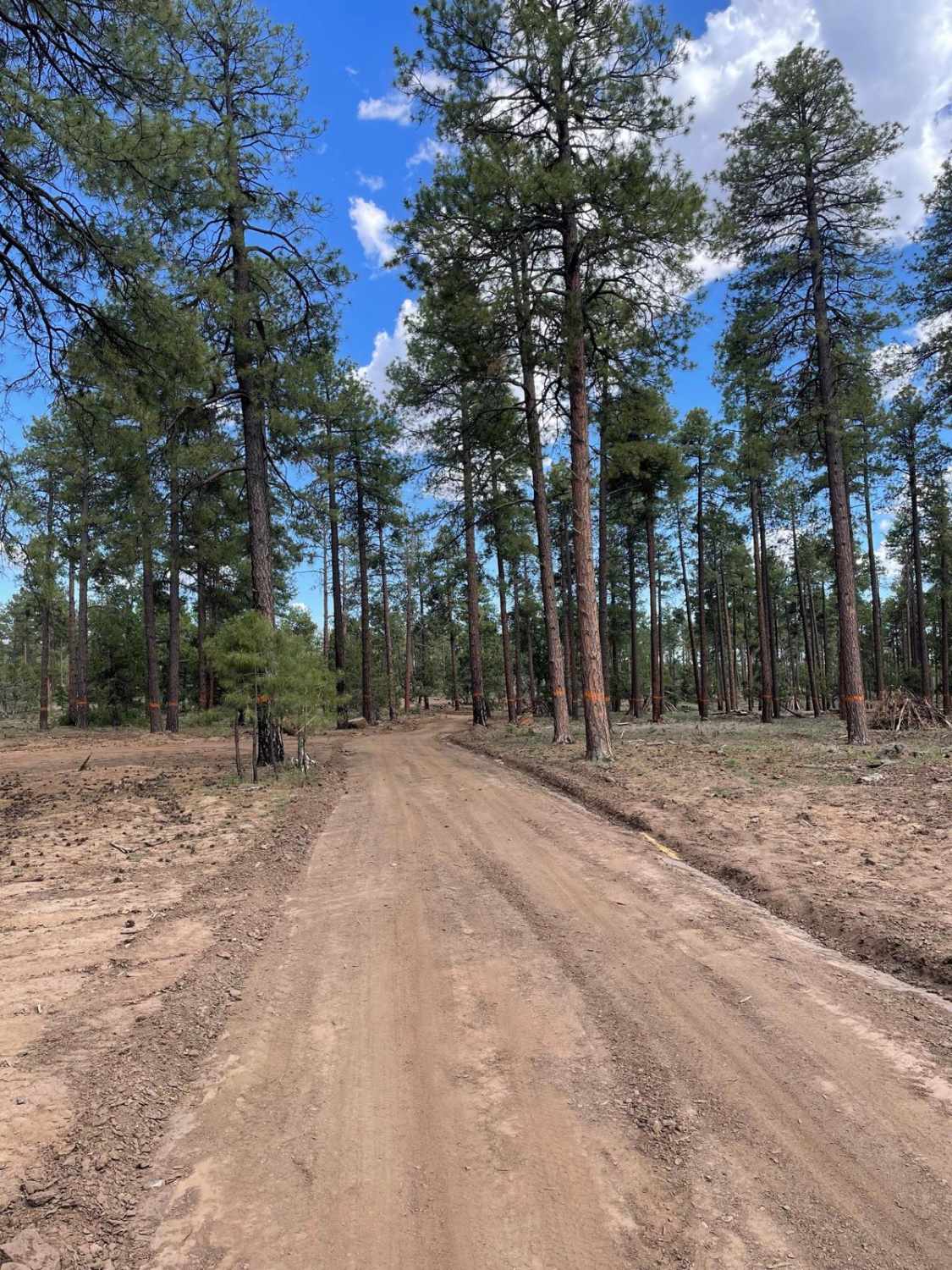 Big Bug Mesa Semi-Loop