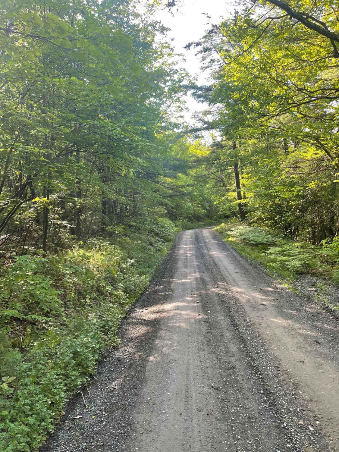 Low Place Road