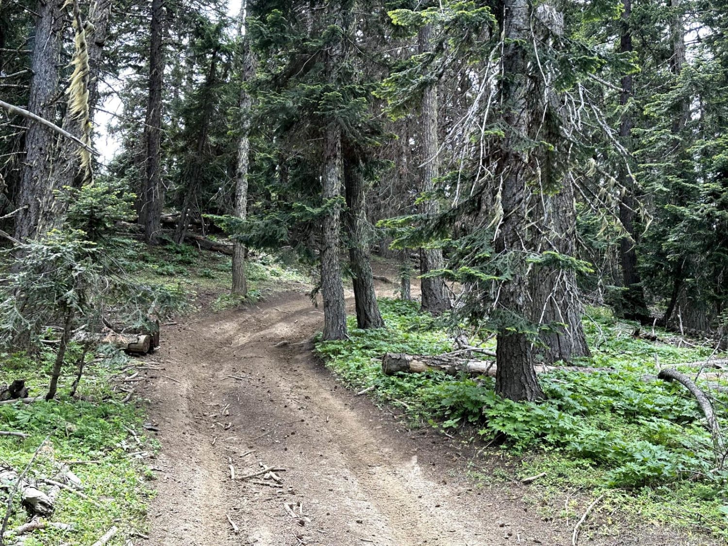 Upper Kaner Ridge Trail