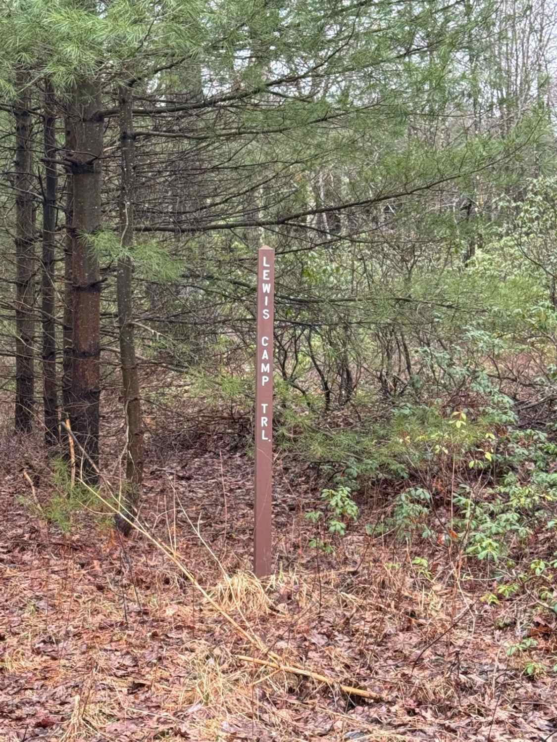 Lewis Camp Trail