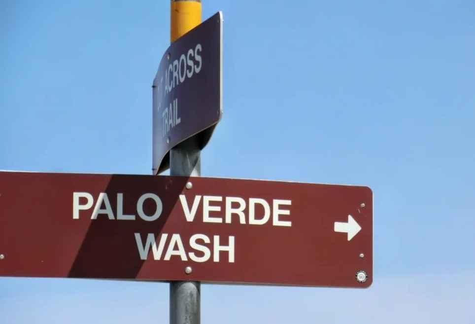 Palo Verde Wash