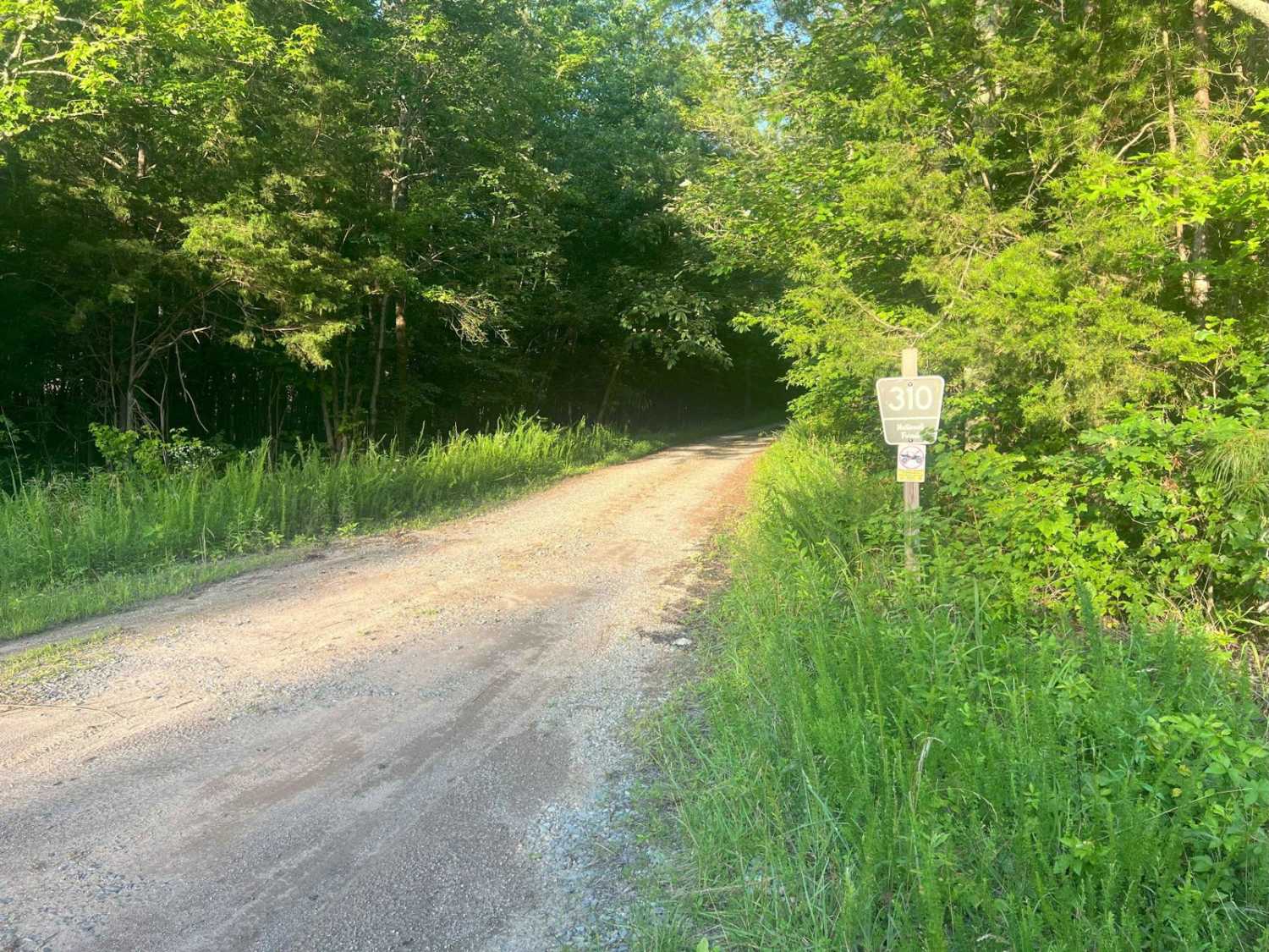 East Armuchee Creek - Forest Road 310