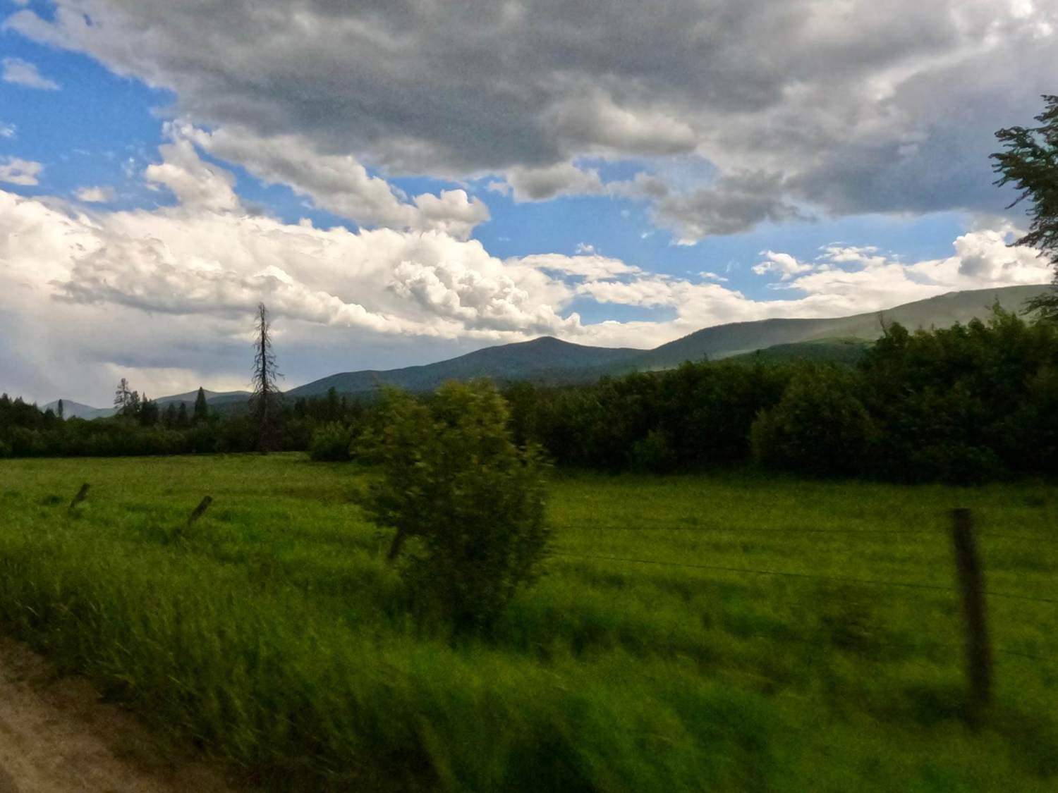 Siegel Pass-Nine Mile Rd