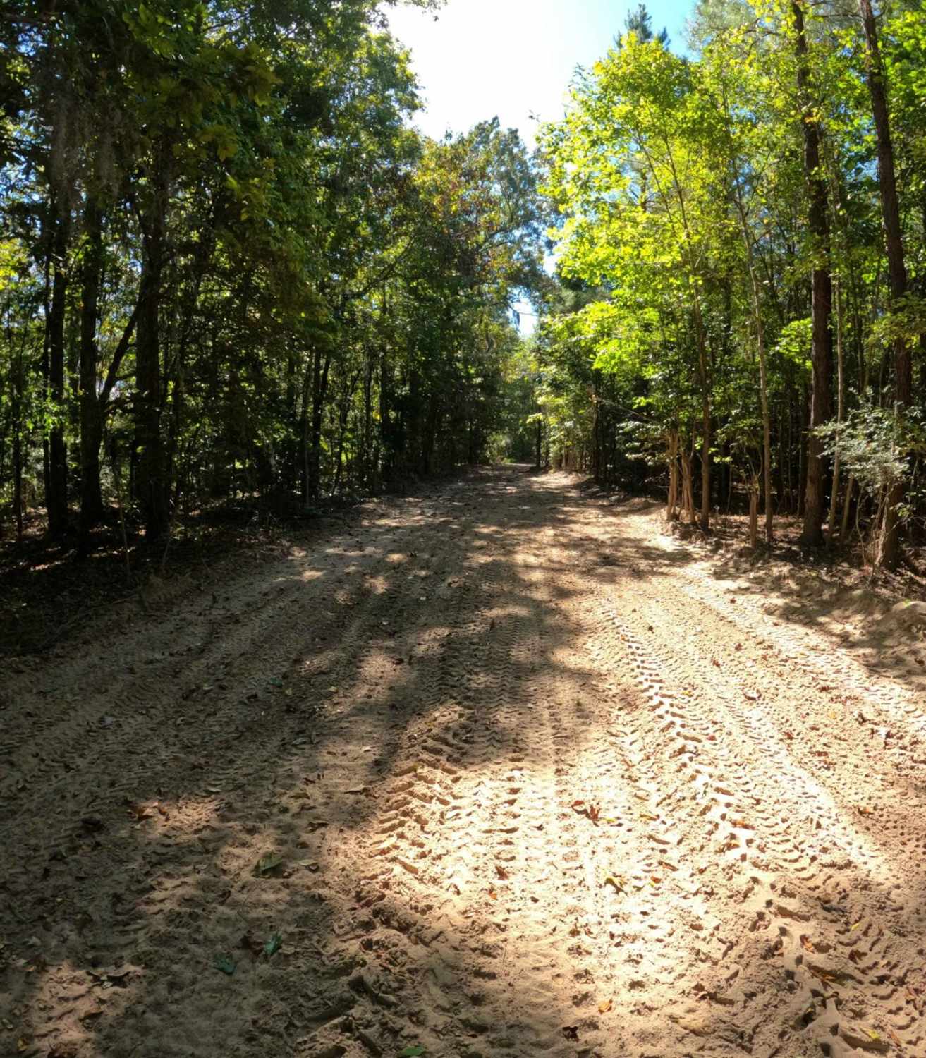 Restoration Trail