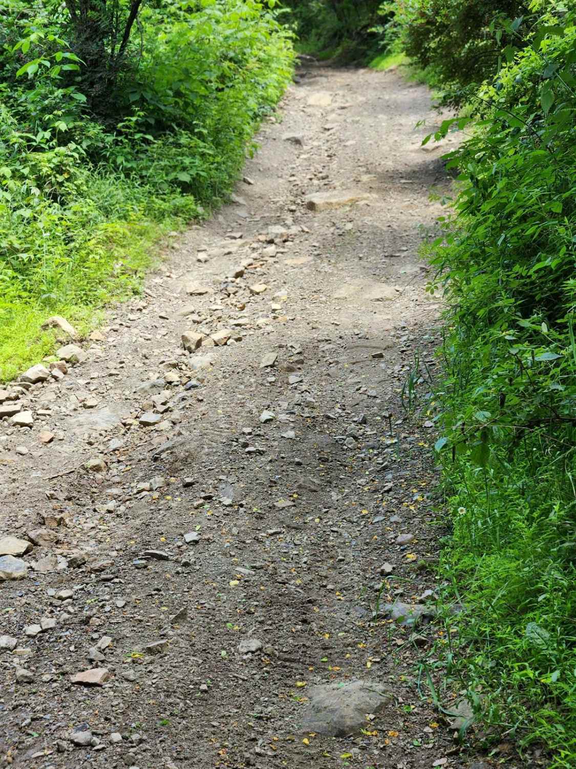 Trail 6F - Rock Run Recreation Area