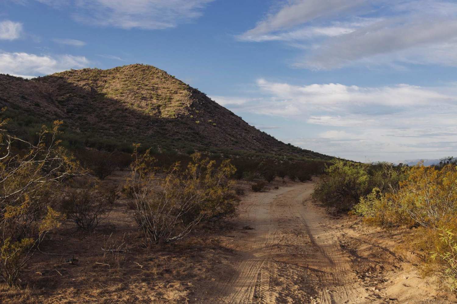 Jam Ranch Cutthrough