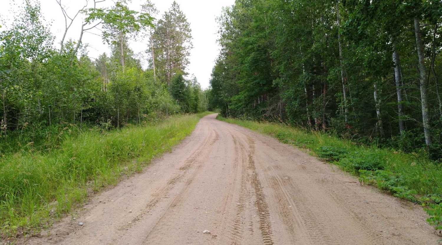 Pikus Forest Road / County Road 58