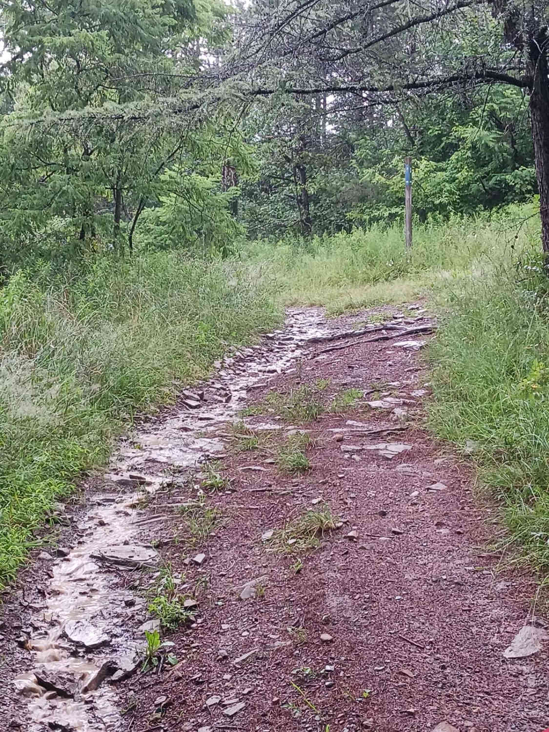 Trail 3B - Rock Run Recreation Area
