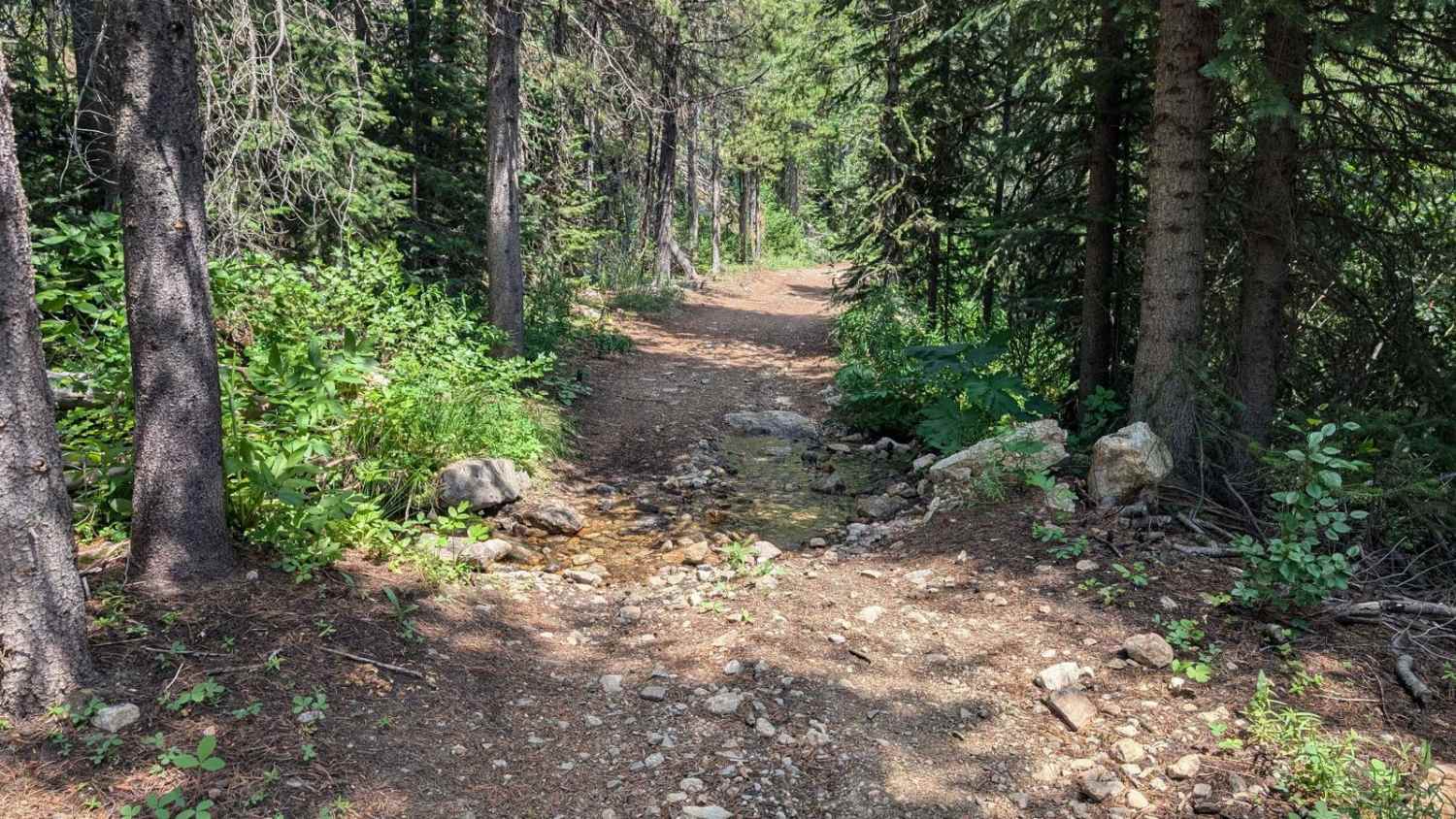 Trail 136