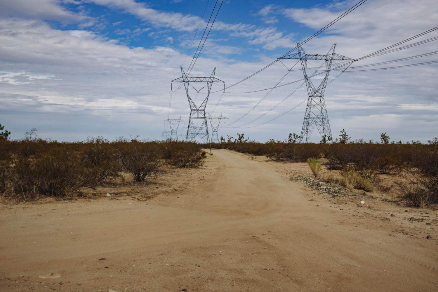 Electric Alien Trees