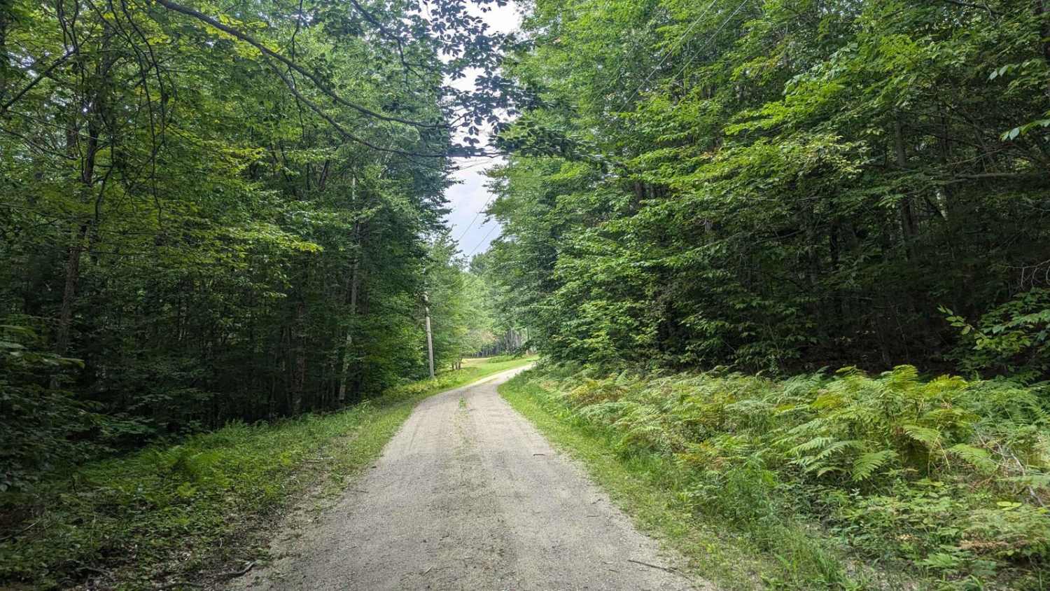 Stetson Road