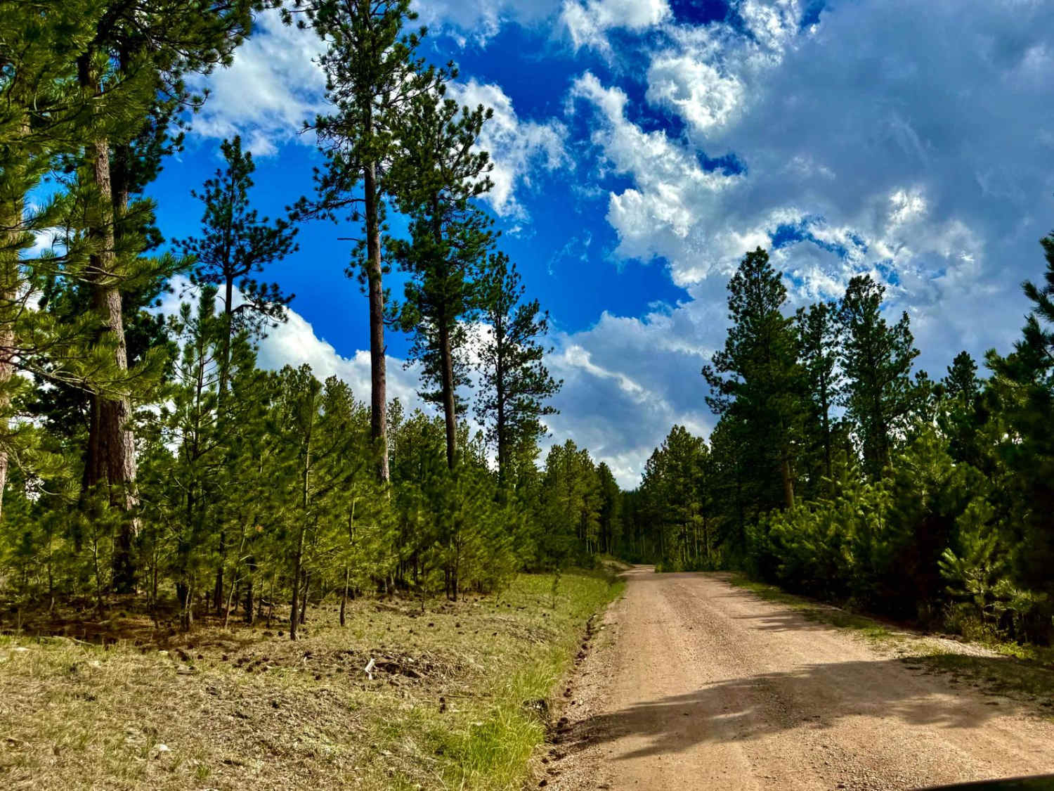 Williams Draw - FS 691