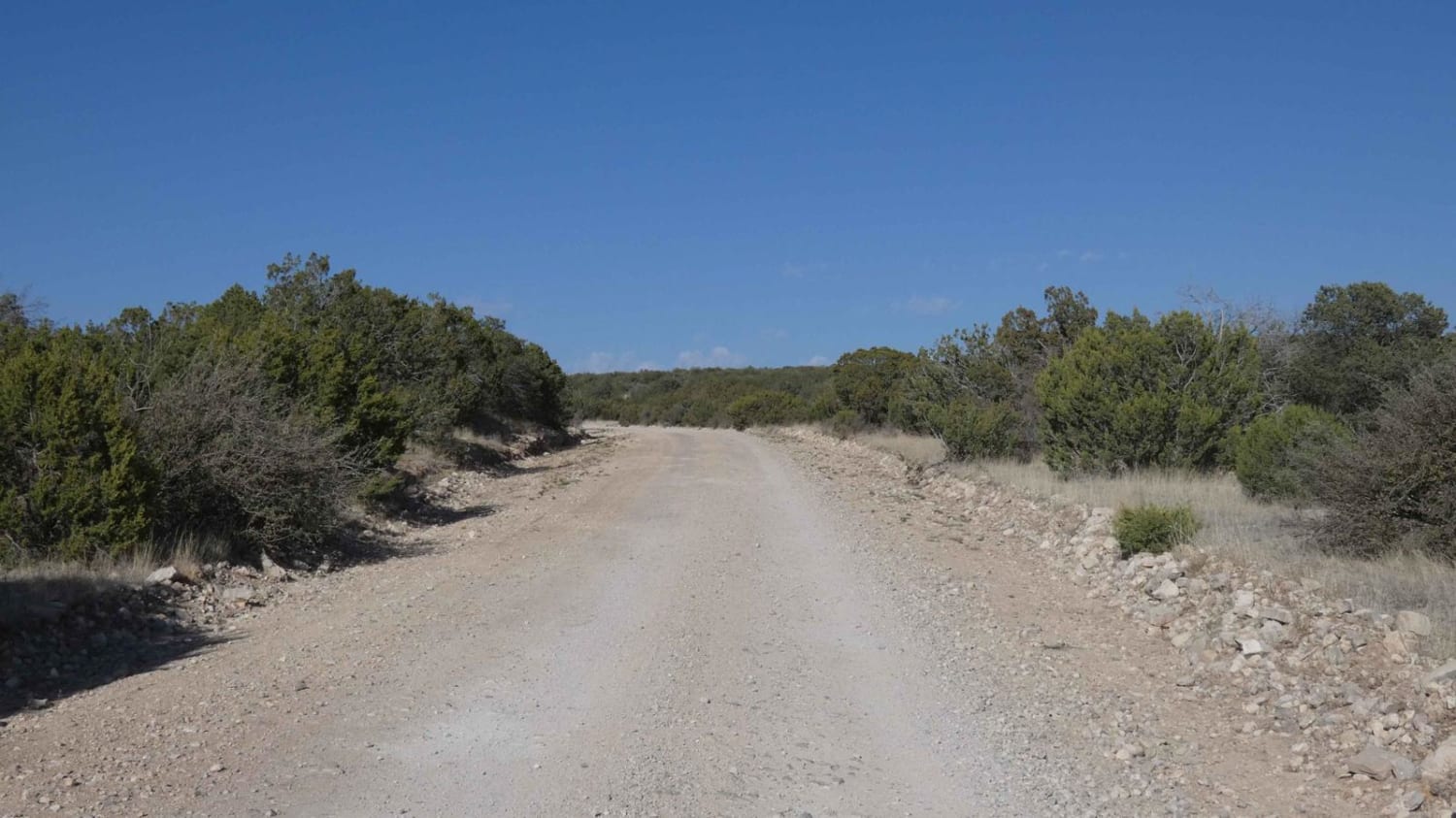 National Livestock Road