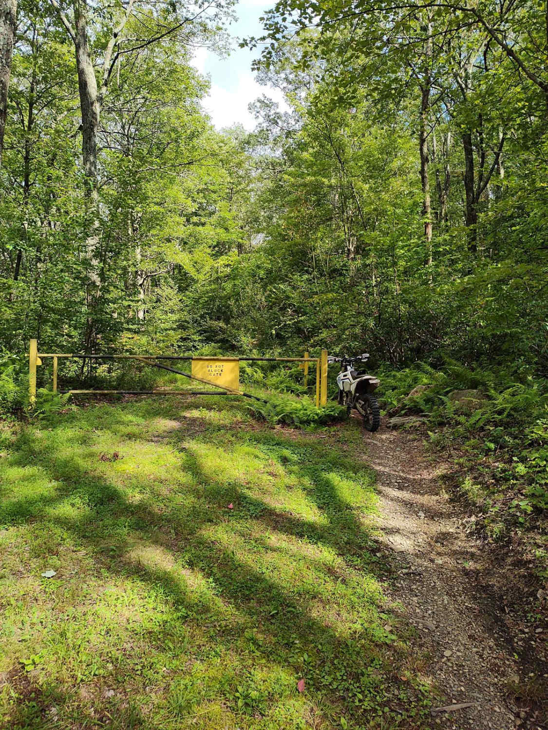 Countyline Single Track