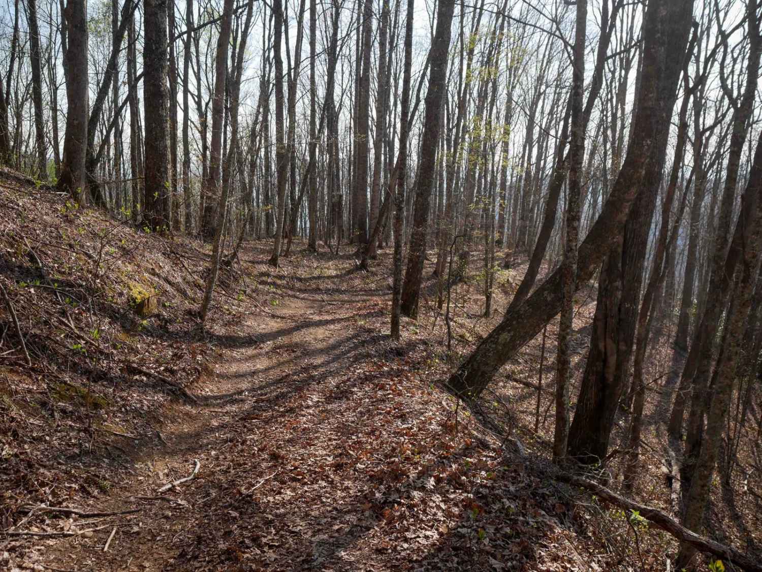 Sunset Ridge Trail 6 
