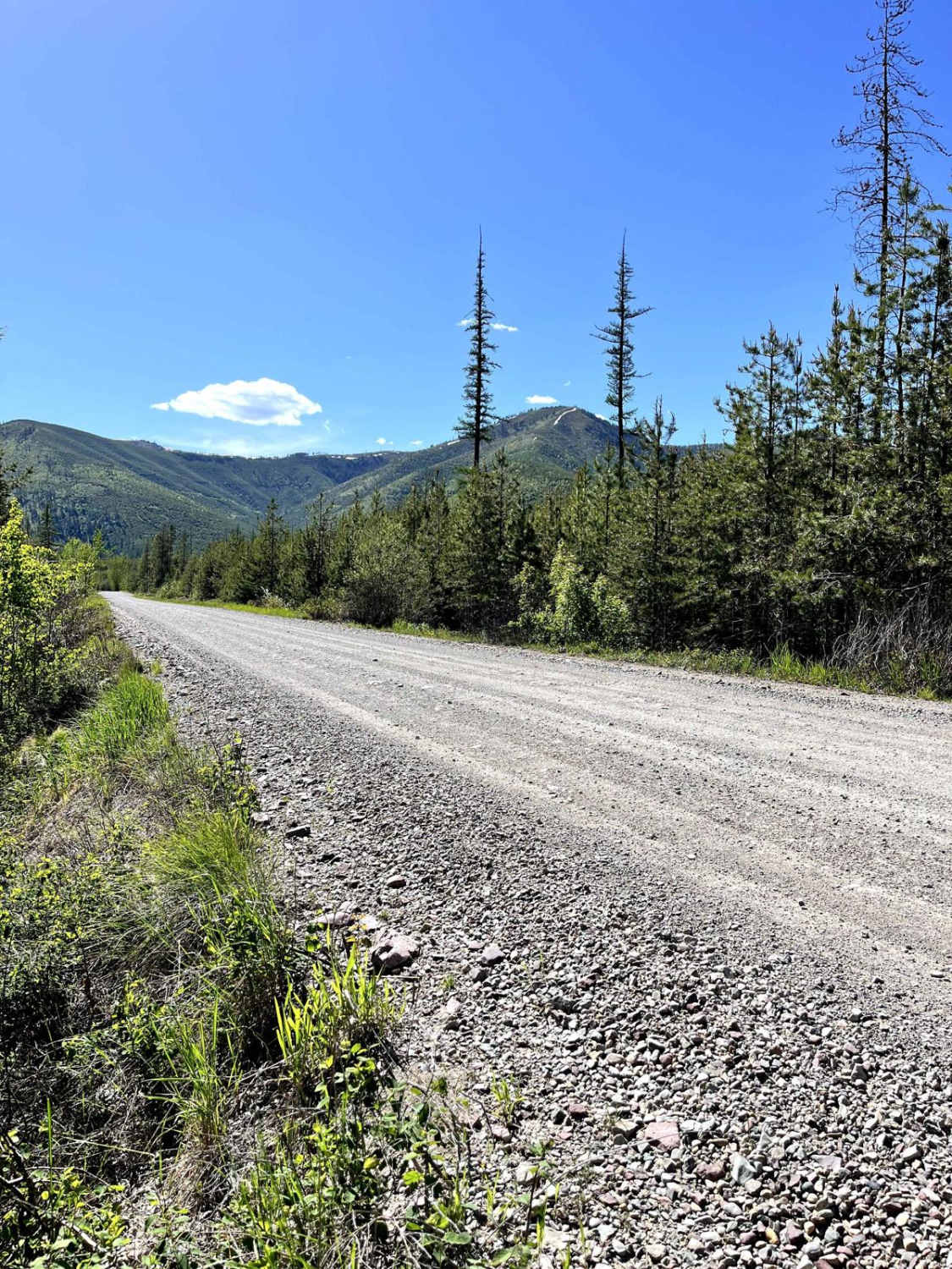 Big Cr Canyon Creek - NF316