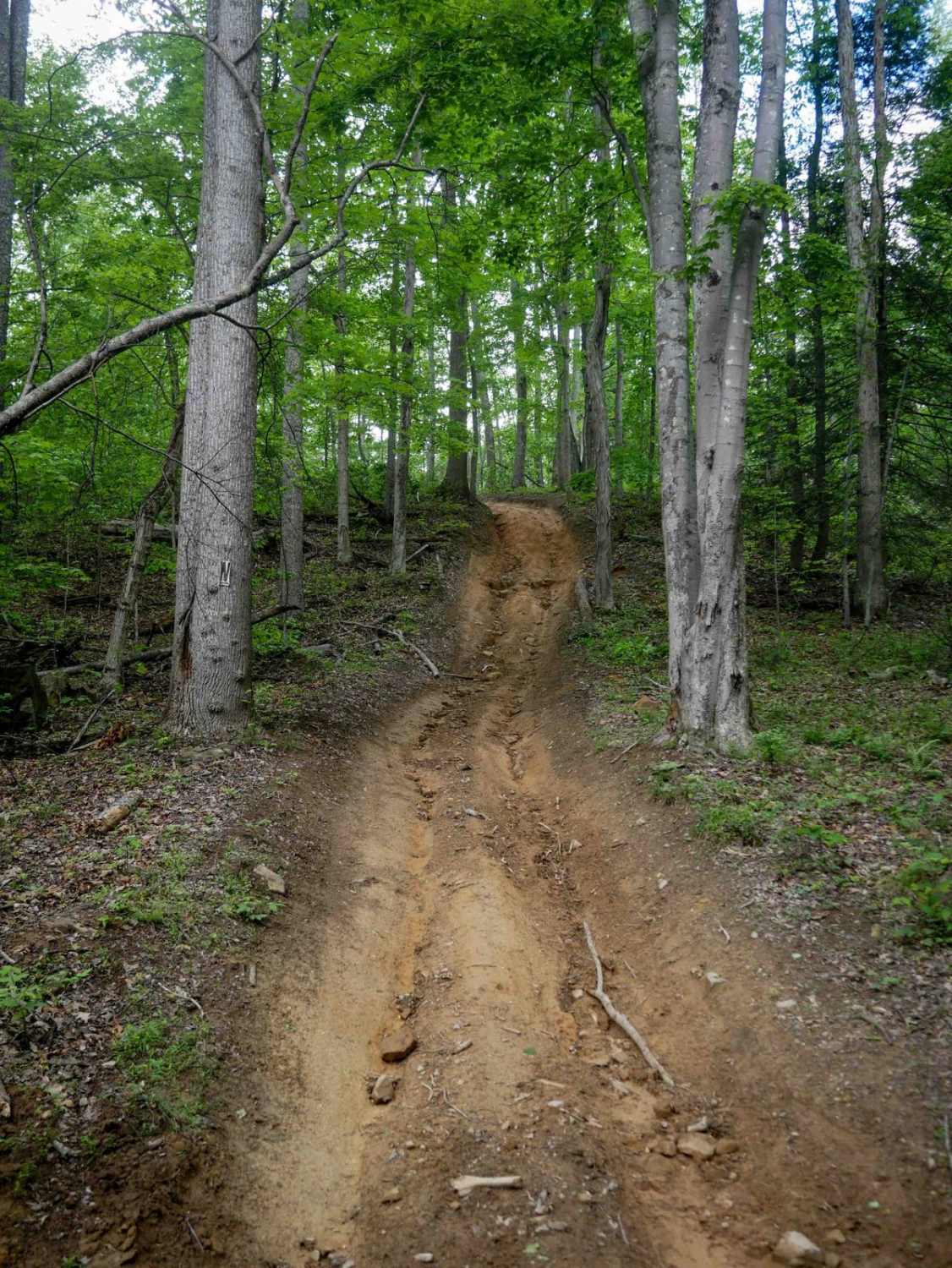 Trail 8
