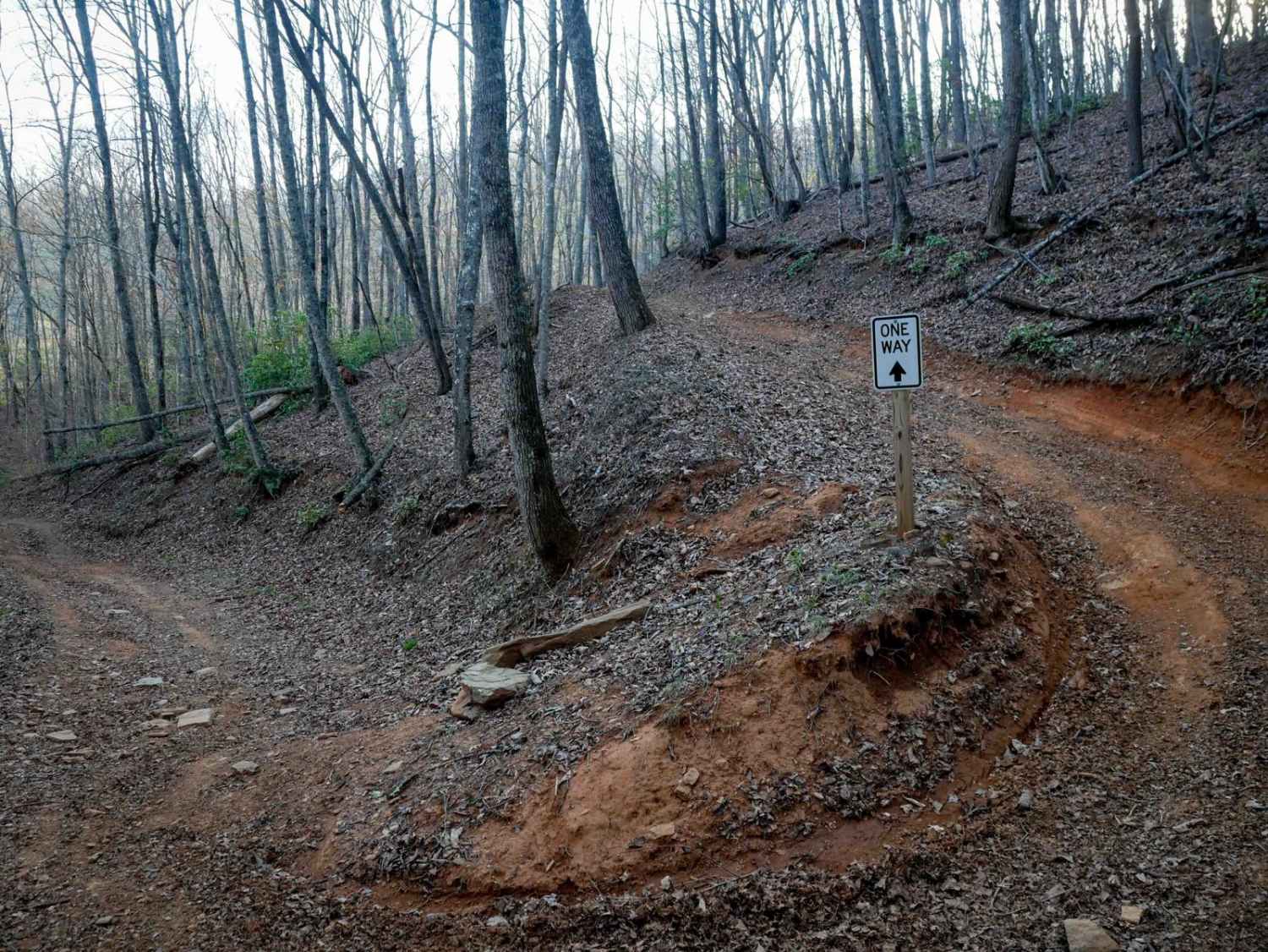 Buck Knob Trail 11  
