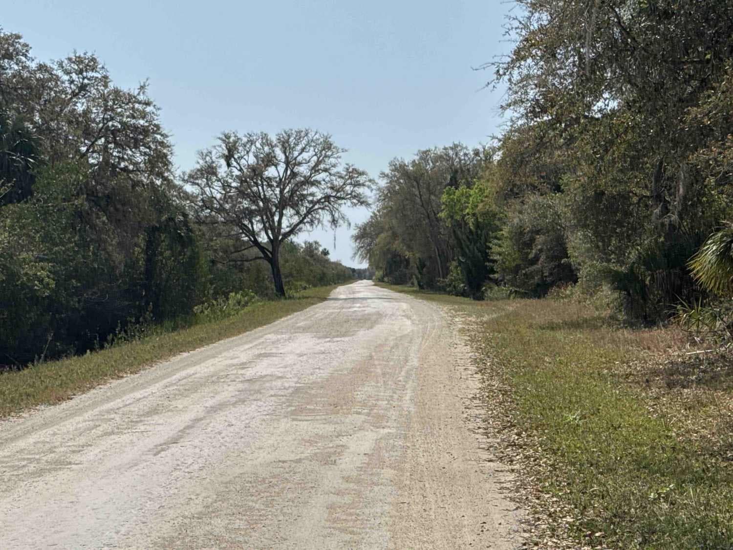 Peacocks Pocket Road