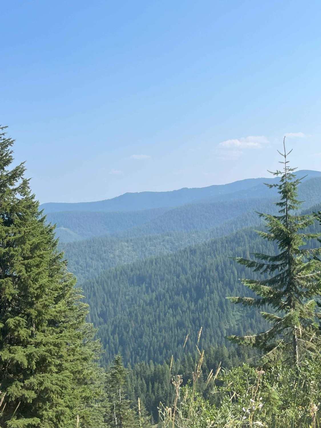 Cedar Mountain 389
