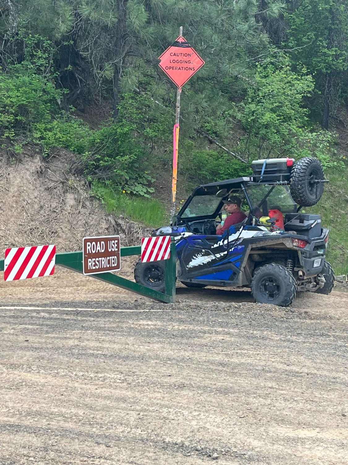 Little Bolder - FS 4772