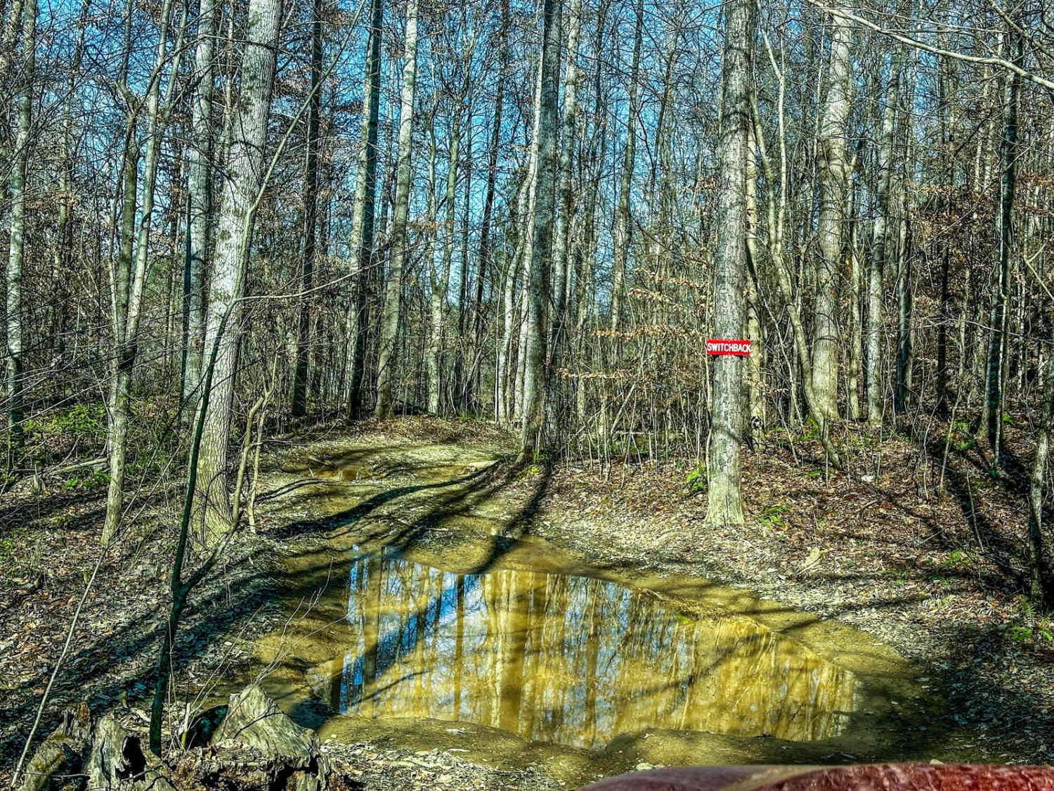 Switchback
