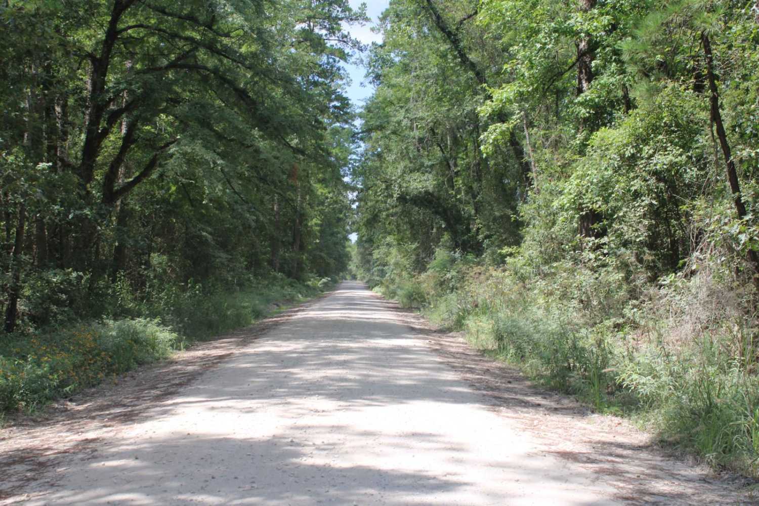 FSR 568 Hunters Camps