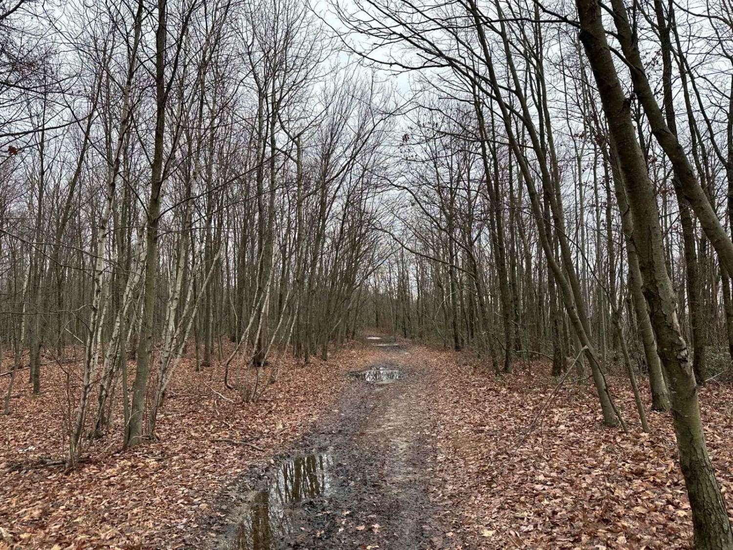 ATV Trail 71