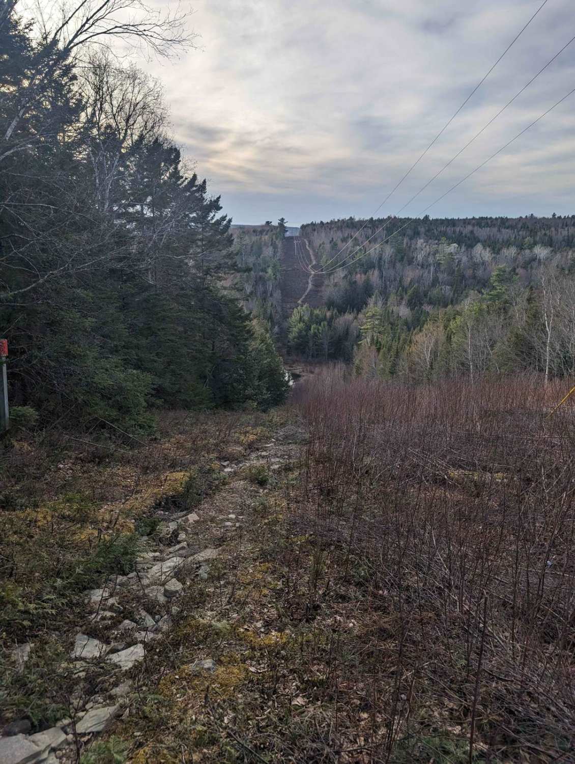 Douglas Logging Road Loop