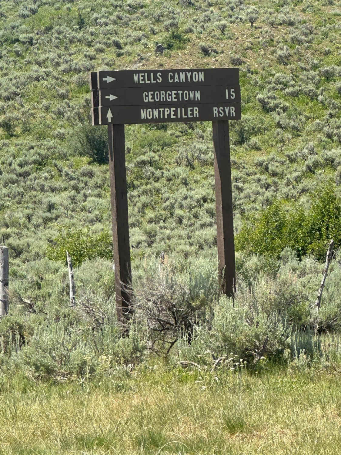 Wells Canyon