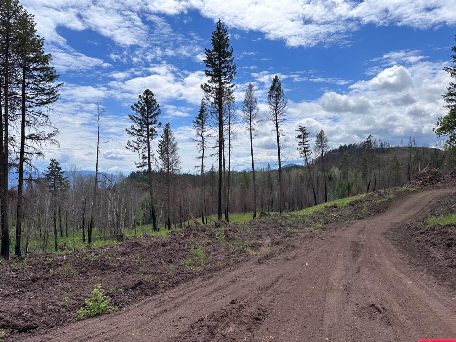 New Fire Road