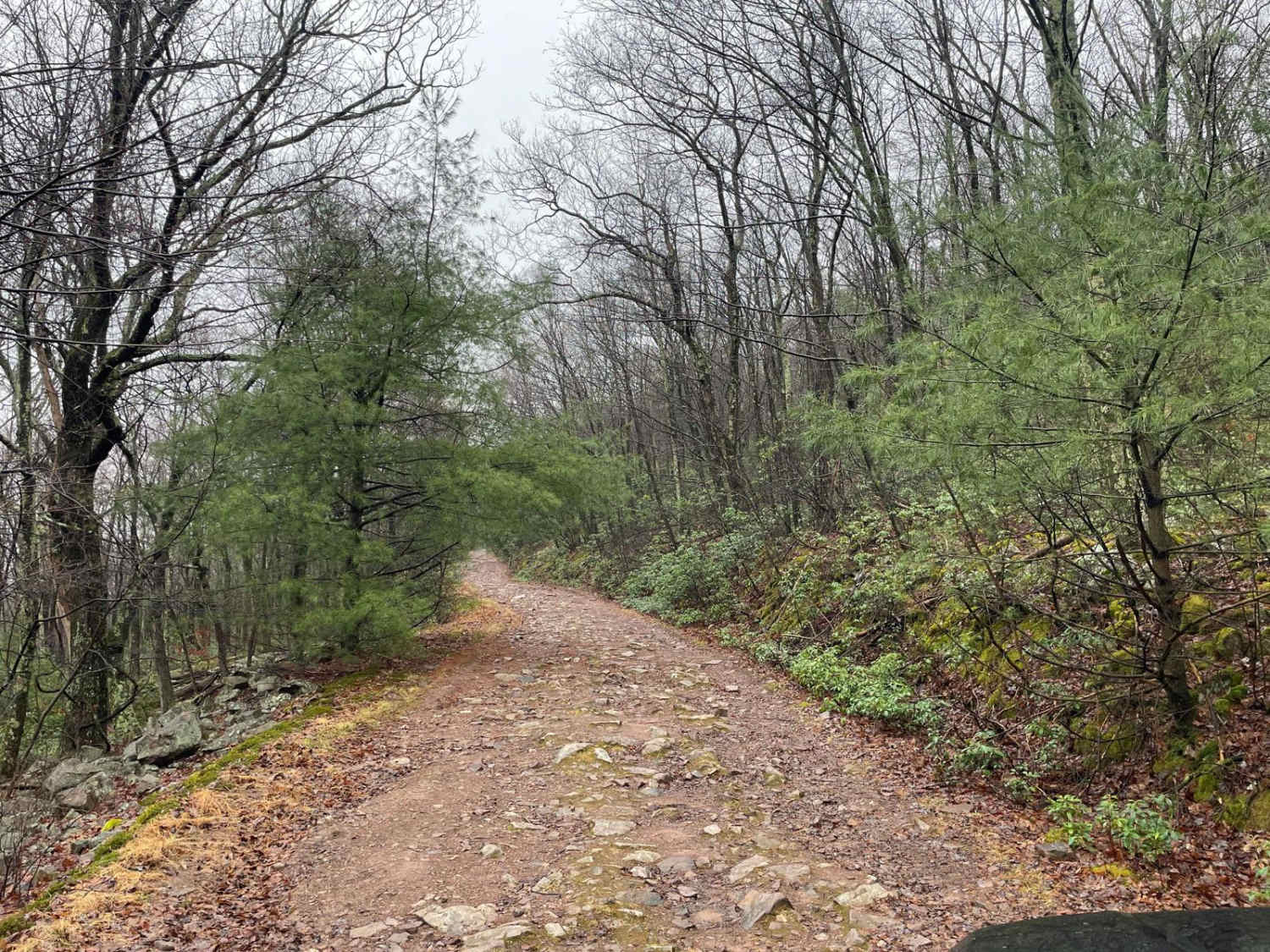 Strongs Mountain Trail (Mid Portion)