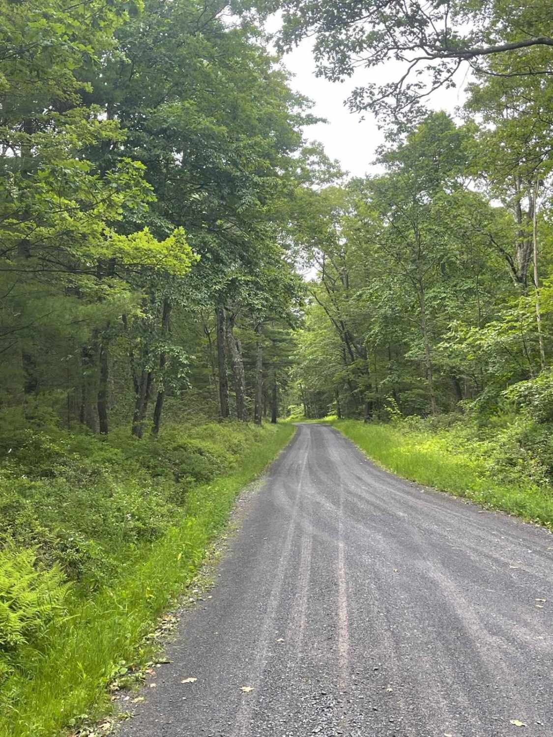 Van Dyke Road