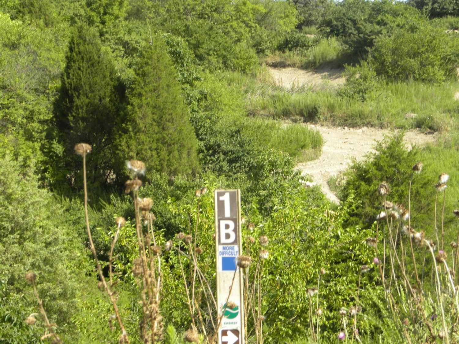 Trail 1B (Intermediate)