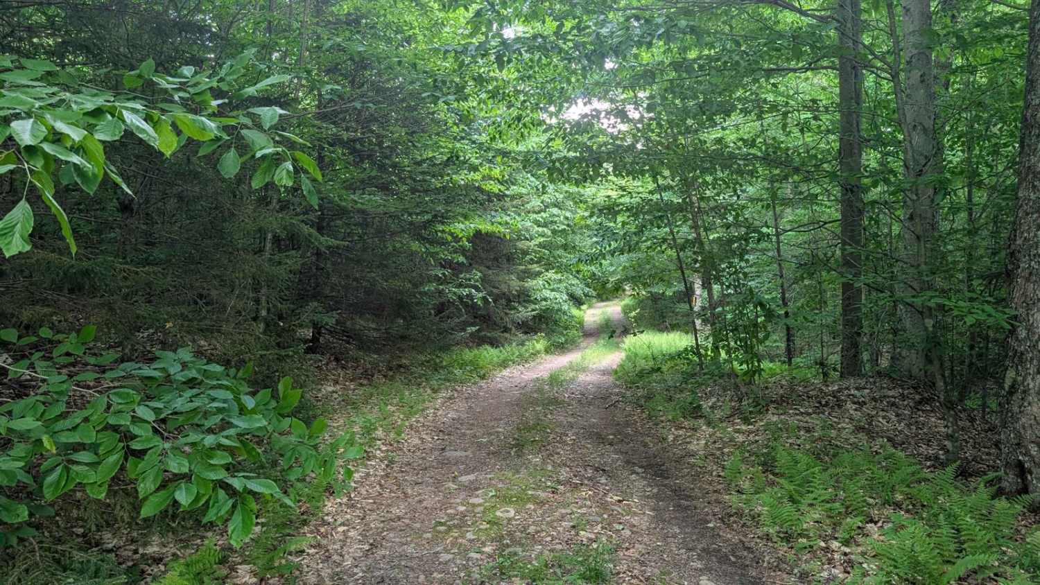 Sellecks Road Loop