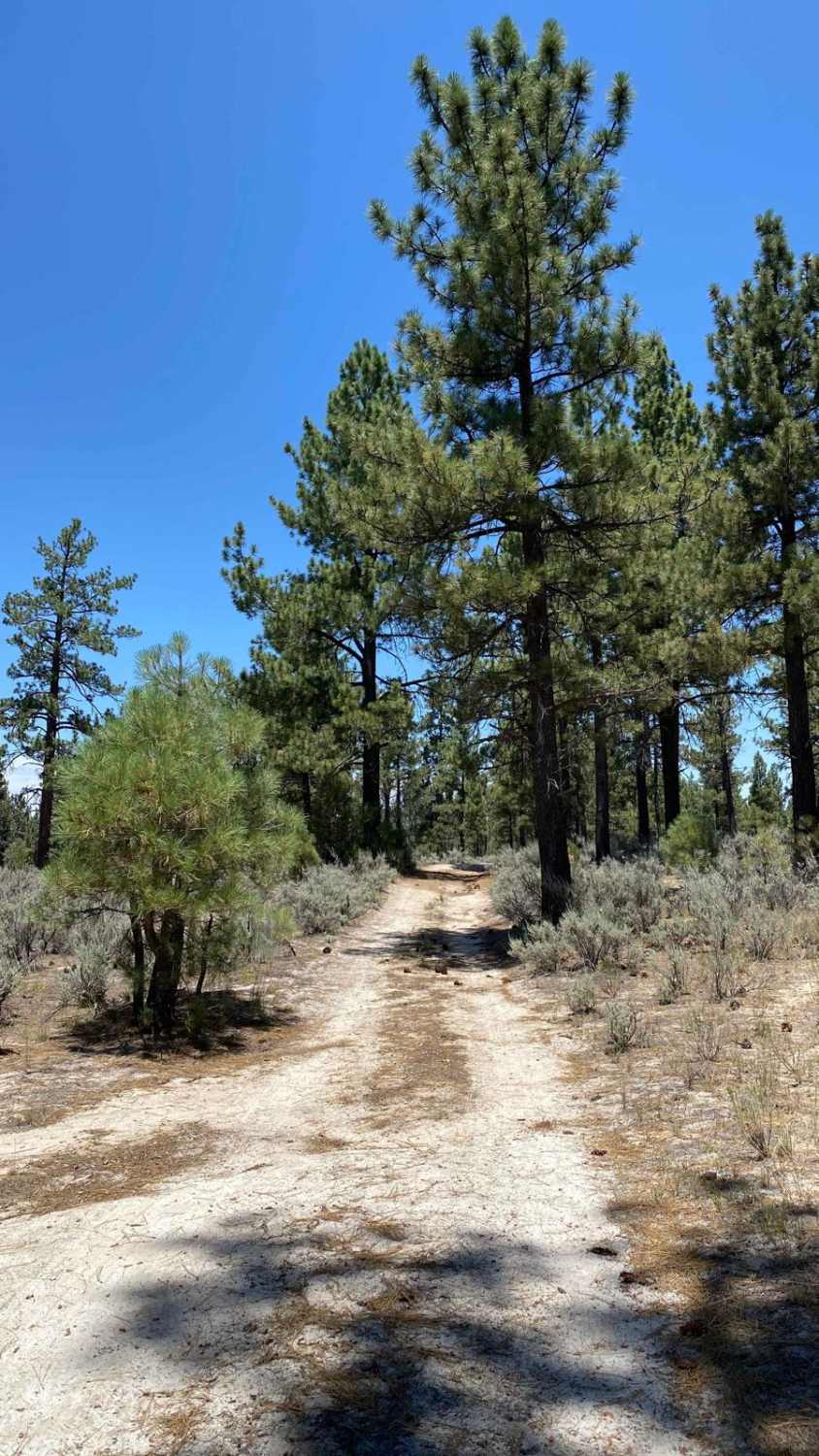 Laguna Hanson Road Detour