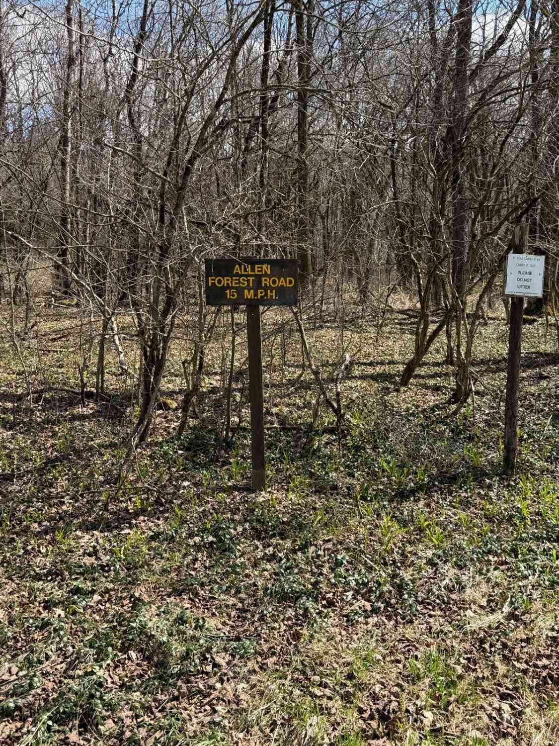 Vandermark Allen Forest Road