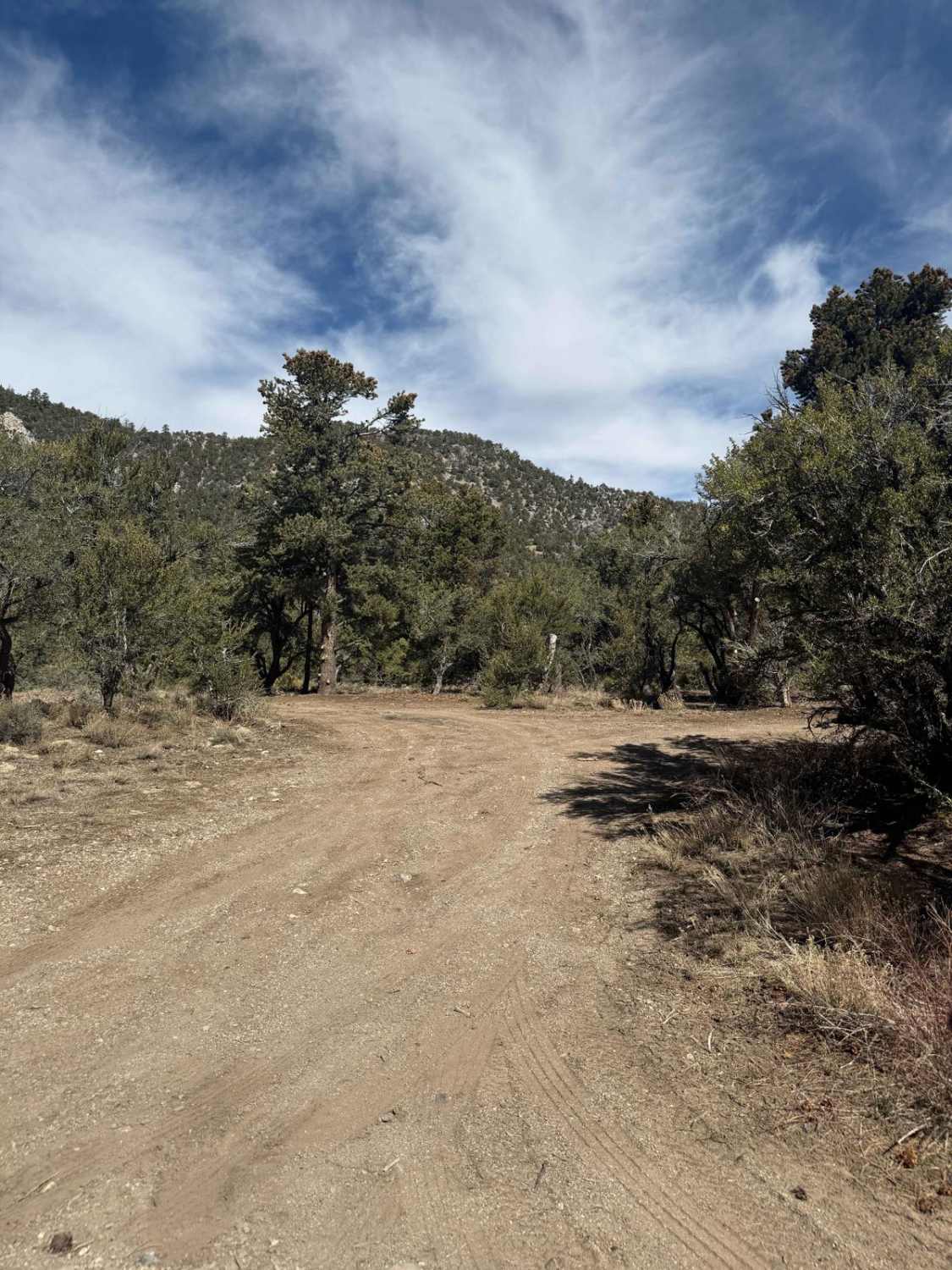 Champion Road
