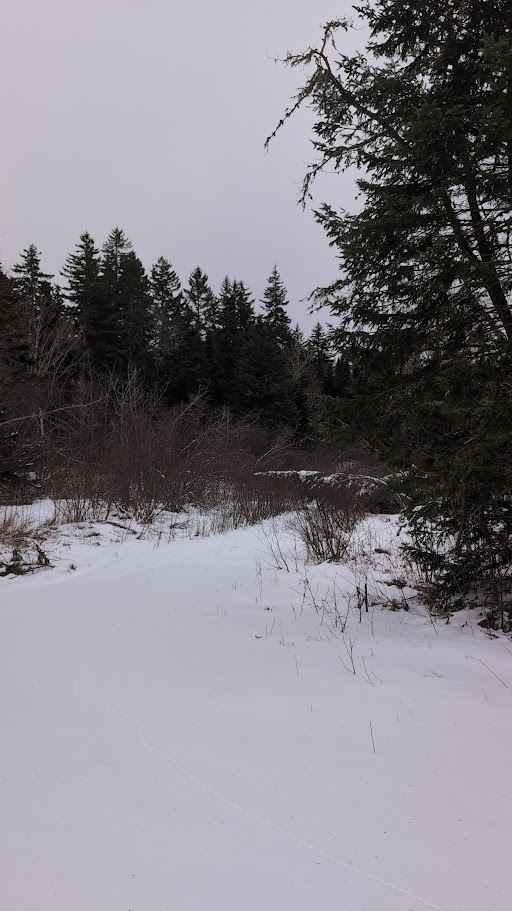 Crow Hill Loop
