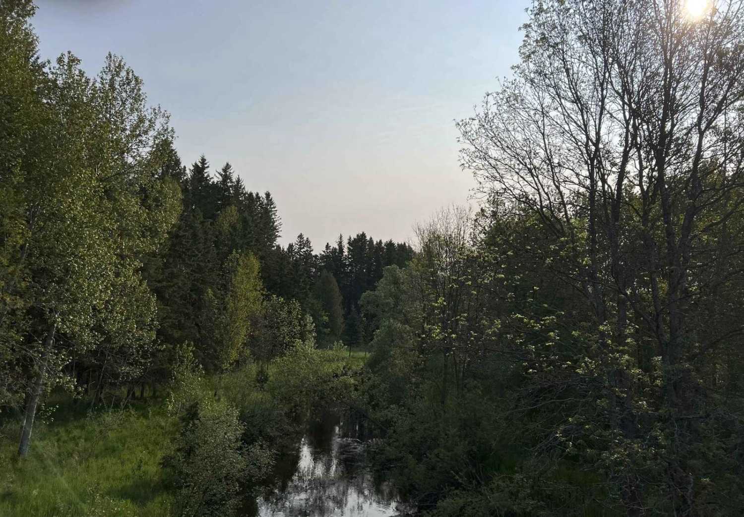 Felch OHV Grade Trail A