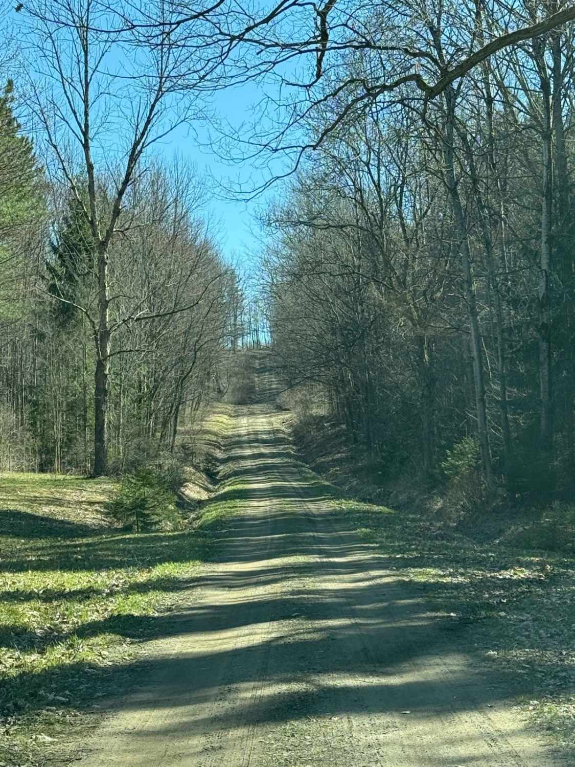 Plumbottom Reddy Forest Road