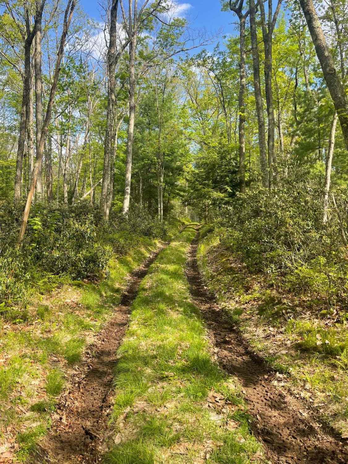 Twin Springs Trail