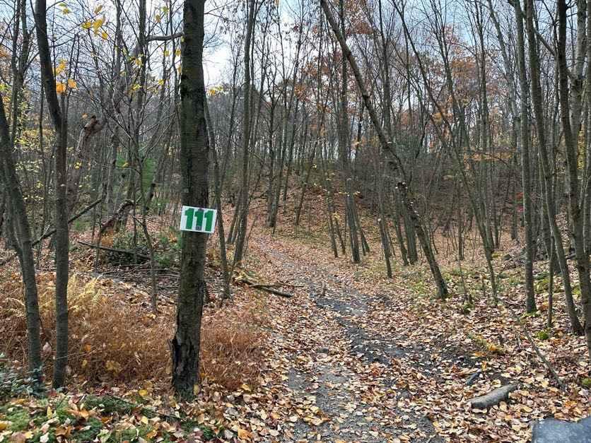 ATV Trail 11