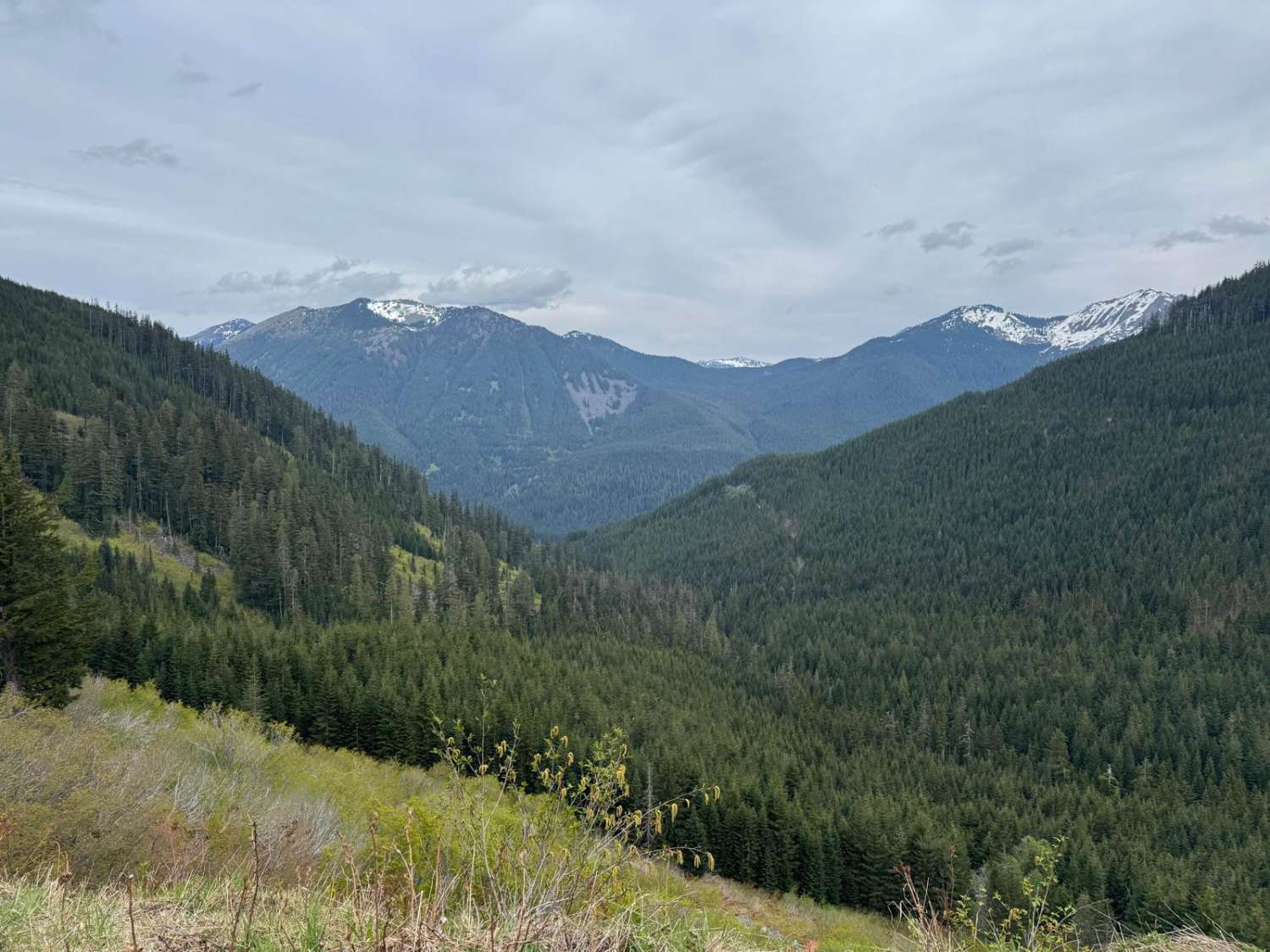 Hanson Creek - 5510