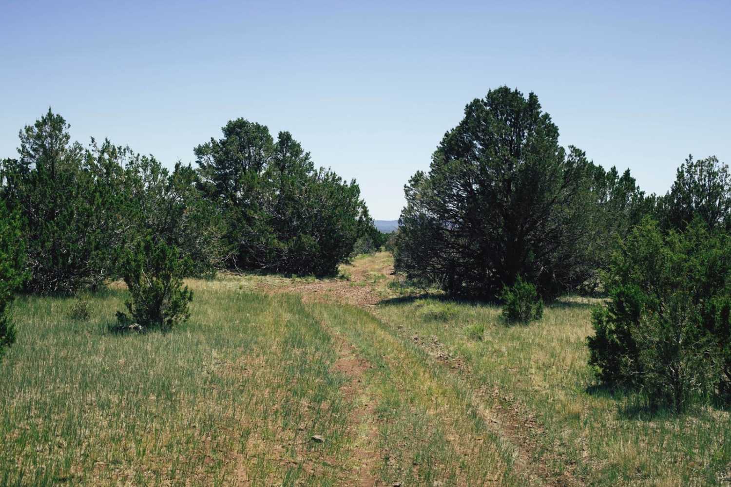 Pasture Mash